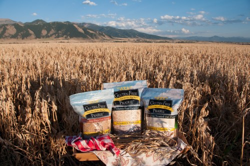Gluten-free products displayed in oat field.