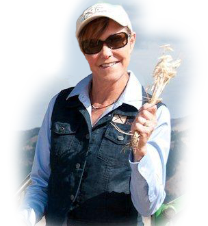 Woman in sunglasses and cap holding a plant outdoors.