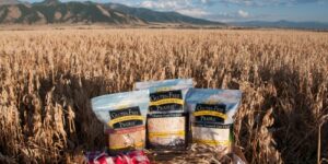 Gluten-free products in wheat field setting.