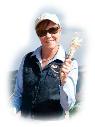 Person holding wheat, wearing sunglasses and cap.