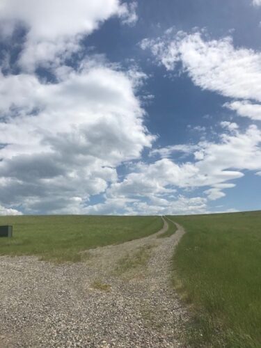 QR code with Gluten-Free Prairie logo and 'Scan Me' prompt.