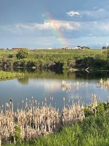 QR code with Gluten-Free Prairie logo and 'Scan Me' prompt.